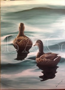 Ducks62